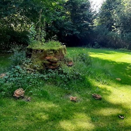 Apartament Vogtlandperle Oelsnitz  Zewnętrze zdjęcie