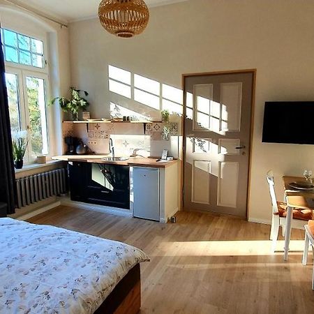 Apartament Vogtlandperle Oelsnitz  Zewnętrze zdjęcie