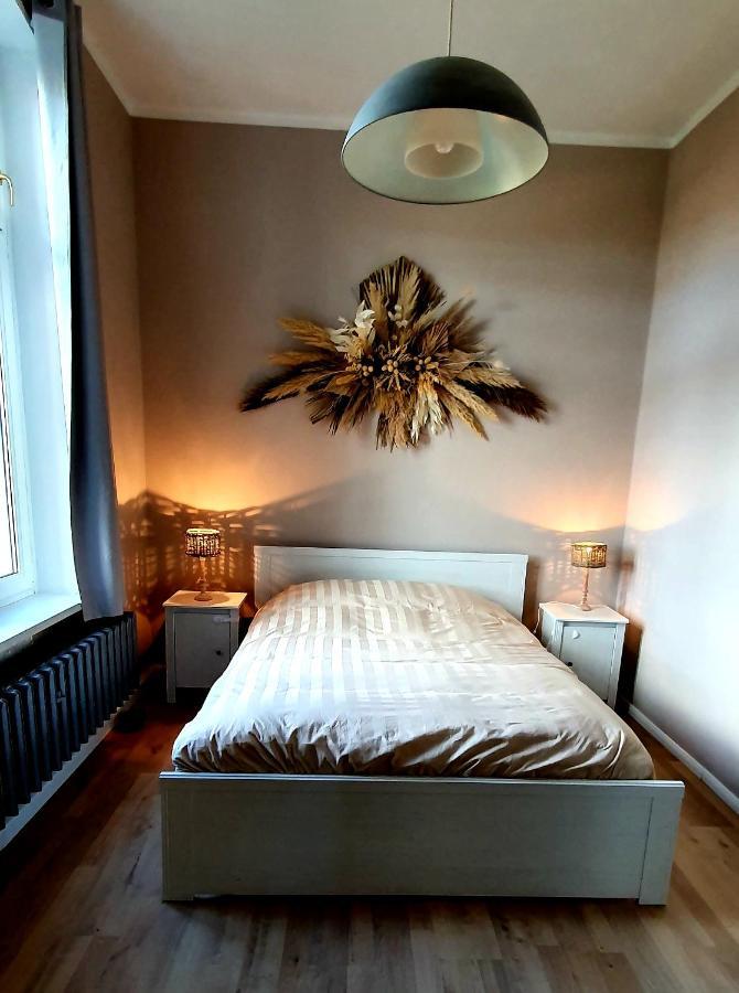 Apartament Vogtlandperle Oelsnitz  Zewnętrze zdjęcie